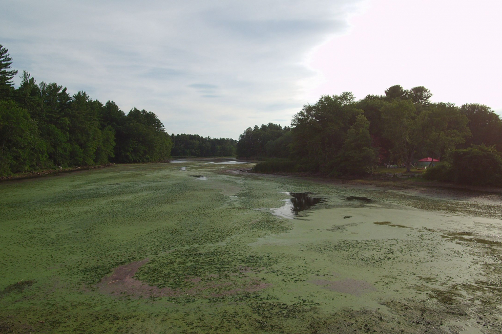 Grist Mill Treatment Photo 1