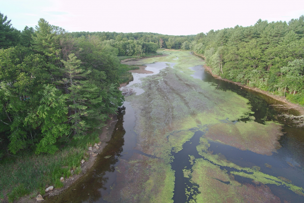 Grist Mill Treatment Photo 2