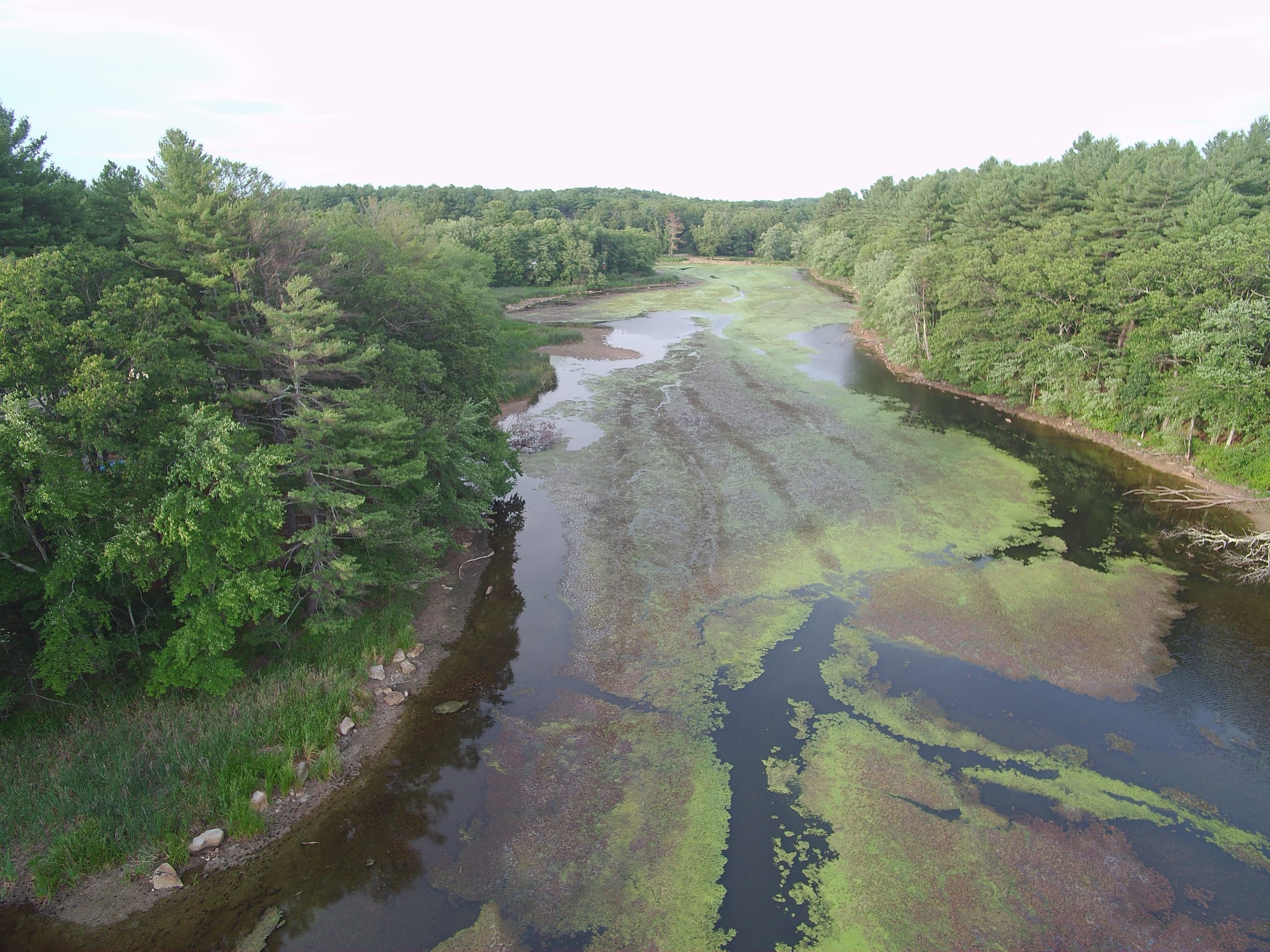 Grist Mill Treatment Photo 2