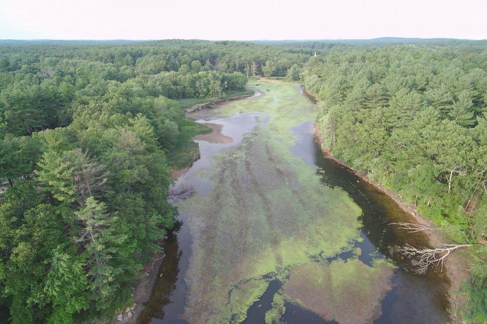 Grist Mill Treatment Photo 3