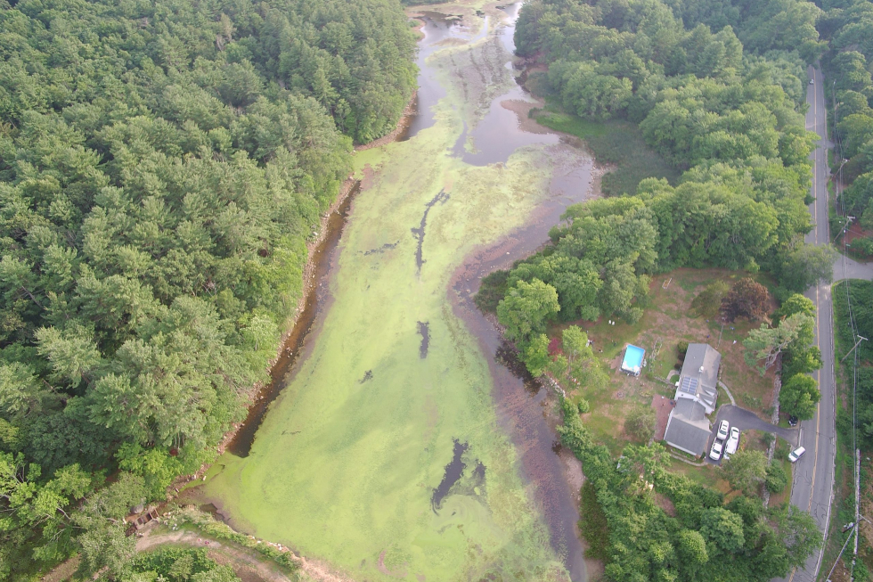 Grist Mill Treatment Photo 8