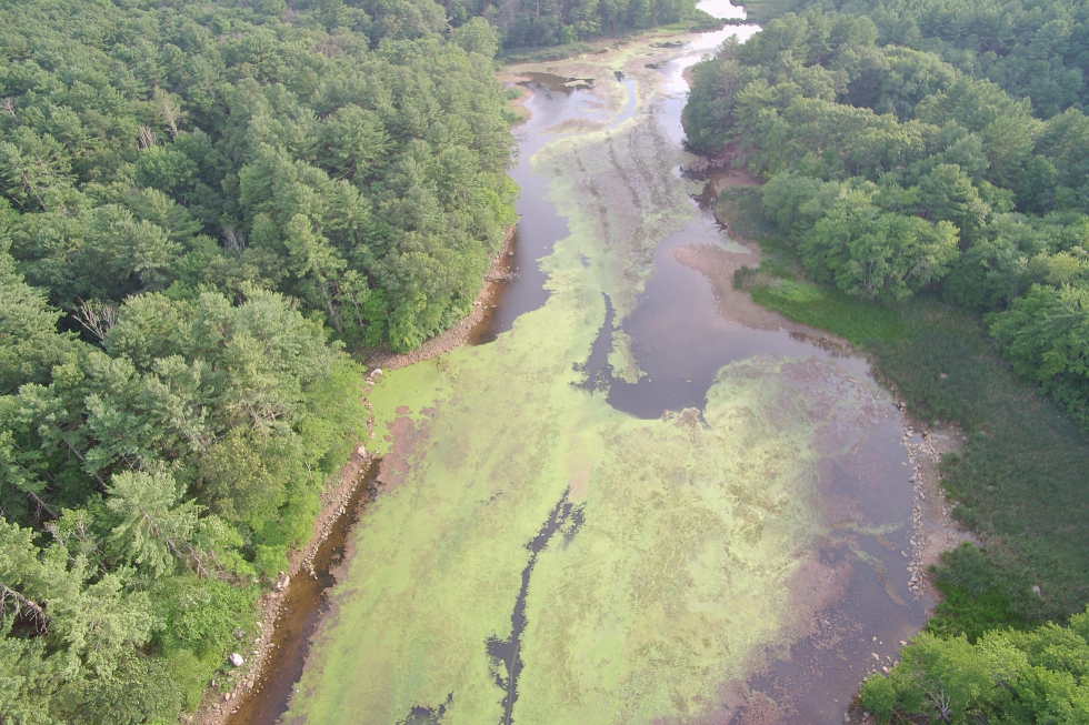 Grist Mill Treatment Photo 9