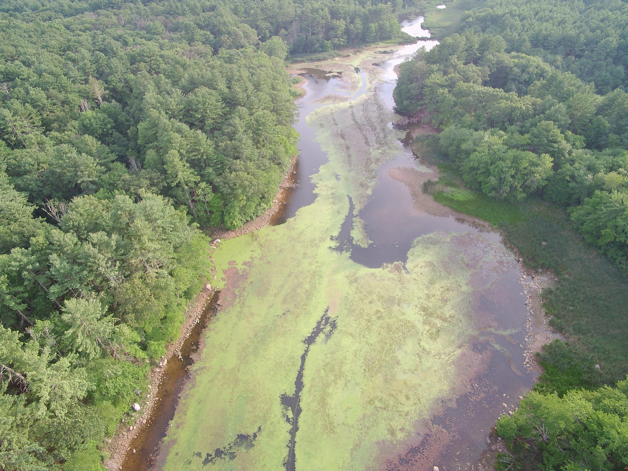 Grist Mill Treatment Photo 9