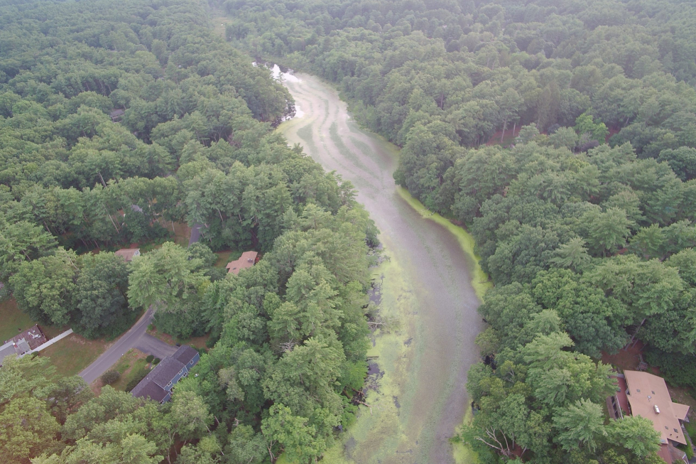 Stearns Mill Pond After Initial Treatment 9